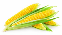 Corn Subsidies